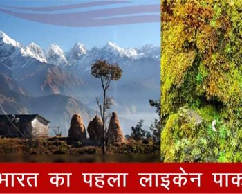 भारत का पहला lichen Park