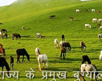 राज्य के प्रमुख बुग्याल