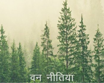 वन नीतियाँ