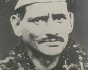 अनुसूया प्रसाद बहुगुणा जी