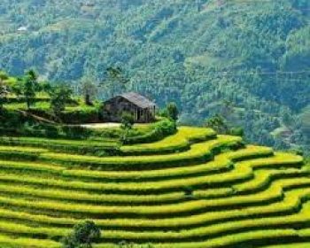 उत्तराखण्ड में भूमि के प्रकार